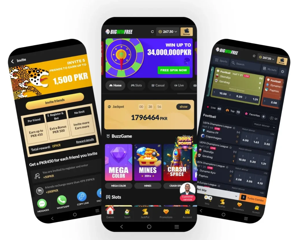 BigWinFree Game Download APK