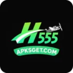 H555 Game