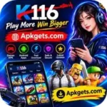 K116 Game