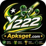 Y222 Game