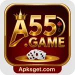 A55 Game