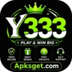 Y333