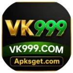 VK999
