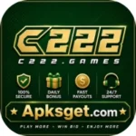 C222 Game
