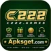 C222 Game